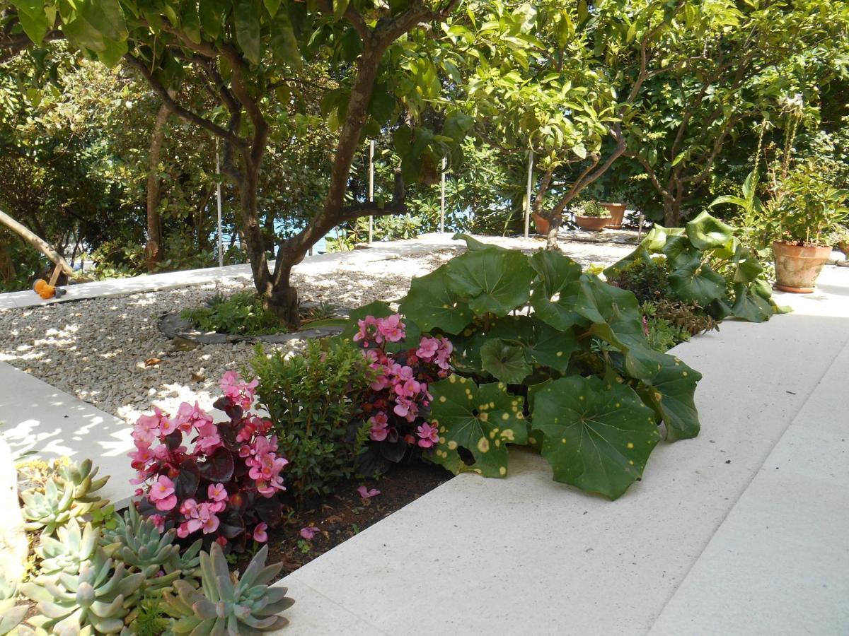 Apartment Marija Đảo Korčula Ngoại thất bức ảnh