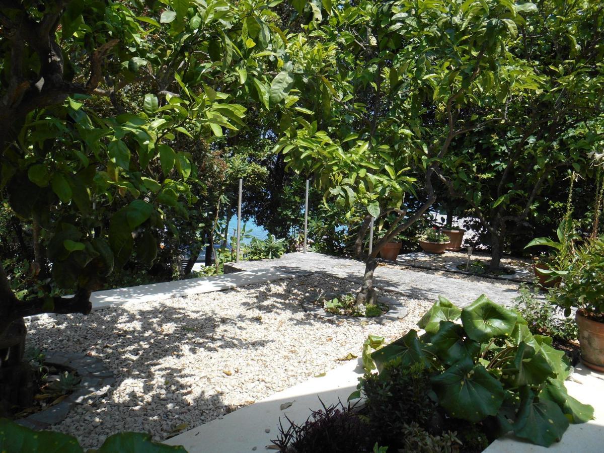 Apartment Marija Đảo Korčula Ngoại thất bức ảnh